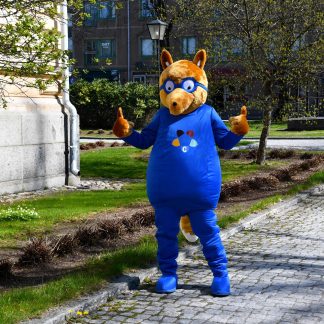 Toripaikka: Kirpputori sunnuntaisin toukokuusta elokuuhun 2026